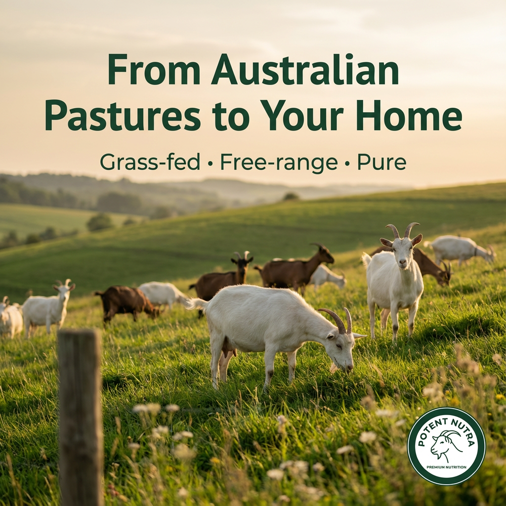 Potent Nutra Goat Milk Powder