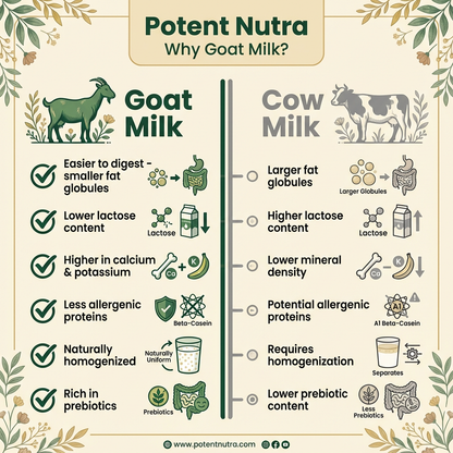 Potent Nutra™ Raw Goat Milk Powder